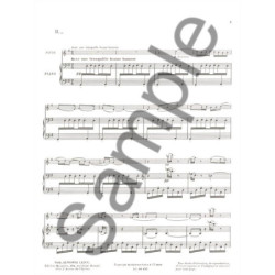 1er Solo du concerto n° 22