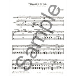 Vade Mecum du Tromboniste