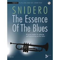 The Essence of The Blues