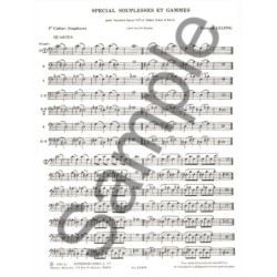 Concerto en Mi mineur