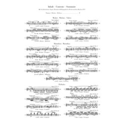 Französische Violinmusik...