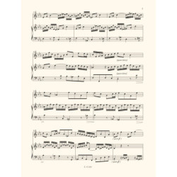Concerto en ré mineur