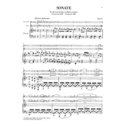 Werke für Mandolin und Klavier