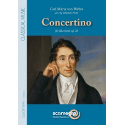 Concertino Op.26