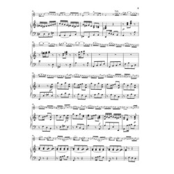 Flautino Concerto Rv 443