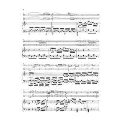 Sonate Opus 17