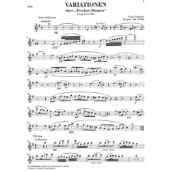 Sonate Op. 65 en sol mineur