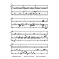 Sonate Op. 36 en la mineur