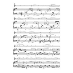 Sonates op 120
