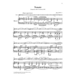 Havanaise Opus 83