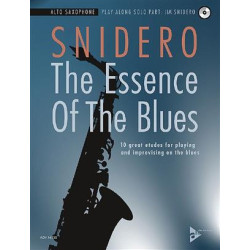 The Essence of the blues