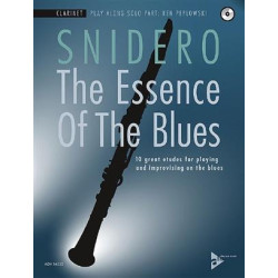 The Essence of the Blues