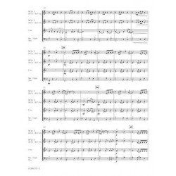 Le petit Paganini Vol. 1