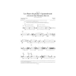 L'oreille relative absolue