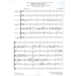 Le Petit Flûté rêve de...