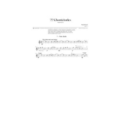 Le Petit flûté à travers...