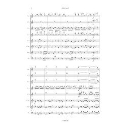 15 Etudes concertantes