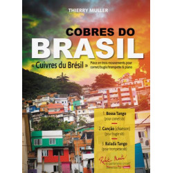 Cobres do Brasil
