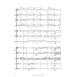 Marco Polo et la princesse...