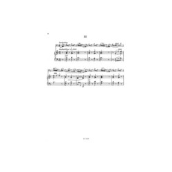 Concerto n° 3 en sol Majeur