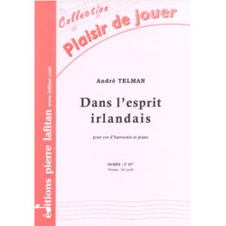 L'esprit Irlandais