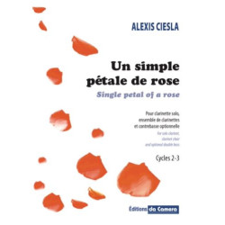 Un simple pétale de rose