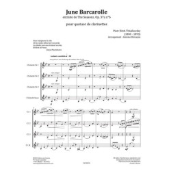 16 Etudes Symphoniques Vol.A