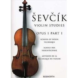 The Best Violin Duet