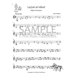 100 Christmas and festive...