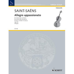 Allegro appasionato en si...