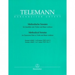 Methodische sonaten volume 4