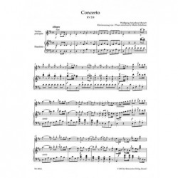 Concerto en Ré min BWV 1043