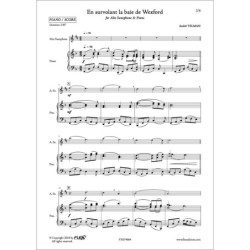 Un survolant la baie de...