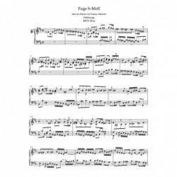 Sonate en Do Mineur D.958