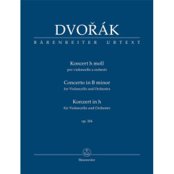 Concerto Opus 104 en si mineur