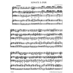 Concerto TWV 53 en la...