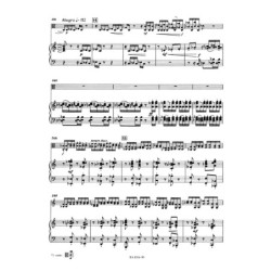 Partita Bwv 1013 en la mineur