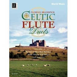 Celtic flute duets