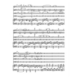 Intégrale des trios à cordes