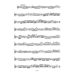 Partita en do mineur Bwv 1013