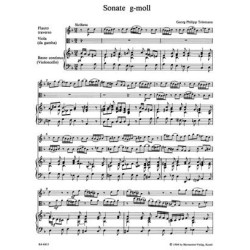 Concerto Kv 313 en sol Majeur