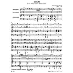 Concerto En Ré Majeur RV 783