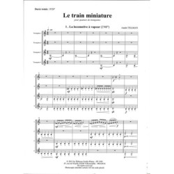 Le train miniature