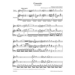 Concerto Twv 51: G9 en sol...