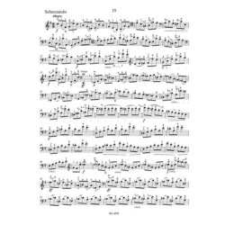 15 Etudes Mélodiques -...