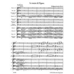 Sonate en Do Mineur D.958