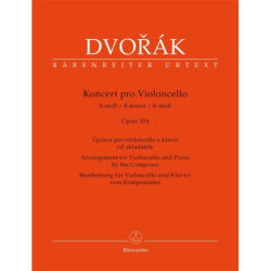 Concerto en si min op 104