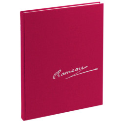 Castor et Pollux RCT 32B...