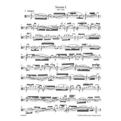 Fantaisie en fa mineur op...