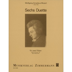 der fortschritt im...